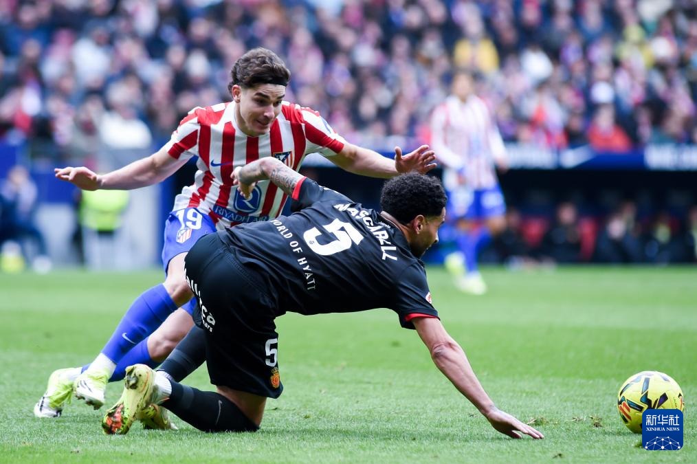 解析明尼苏达双城队如何利用球场设计减少明尼阿波利斯寒流干扰